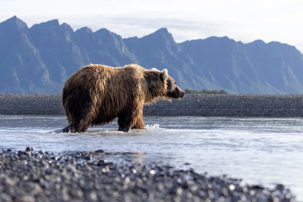 0779992886060a999d10e1ff16d7ecc2a6607479