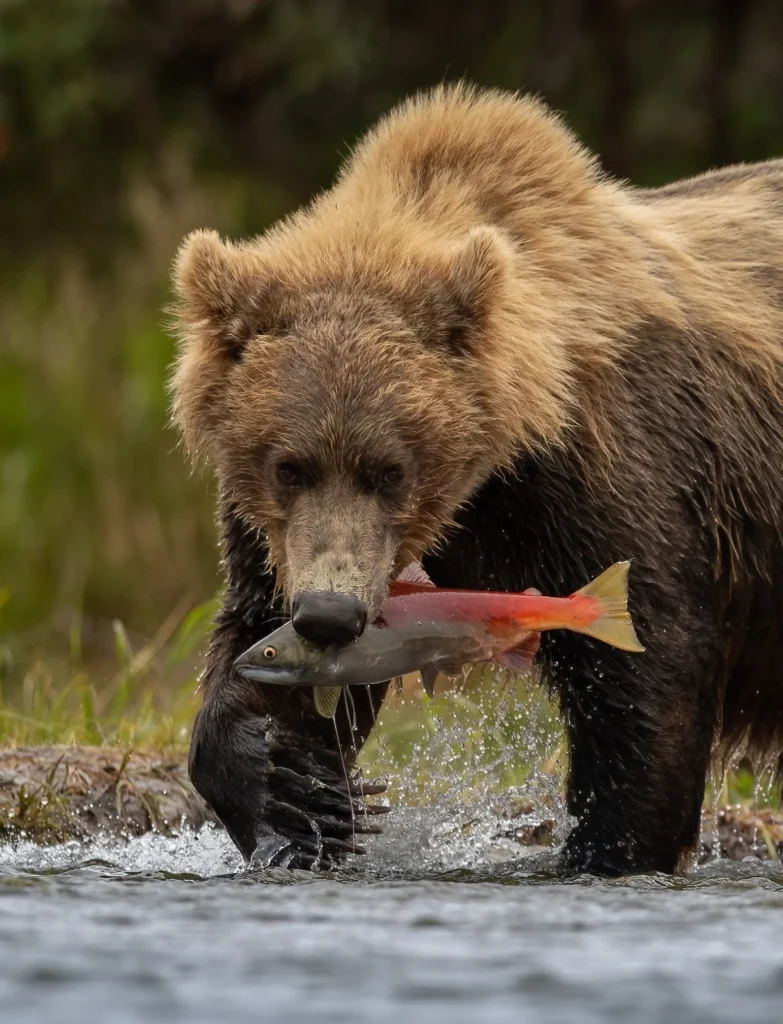 B7a603434d72a256d18250e50818e83a2c8f95c6