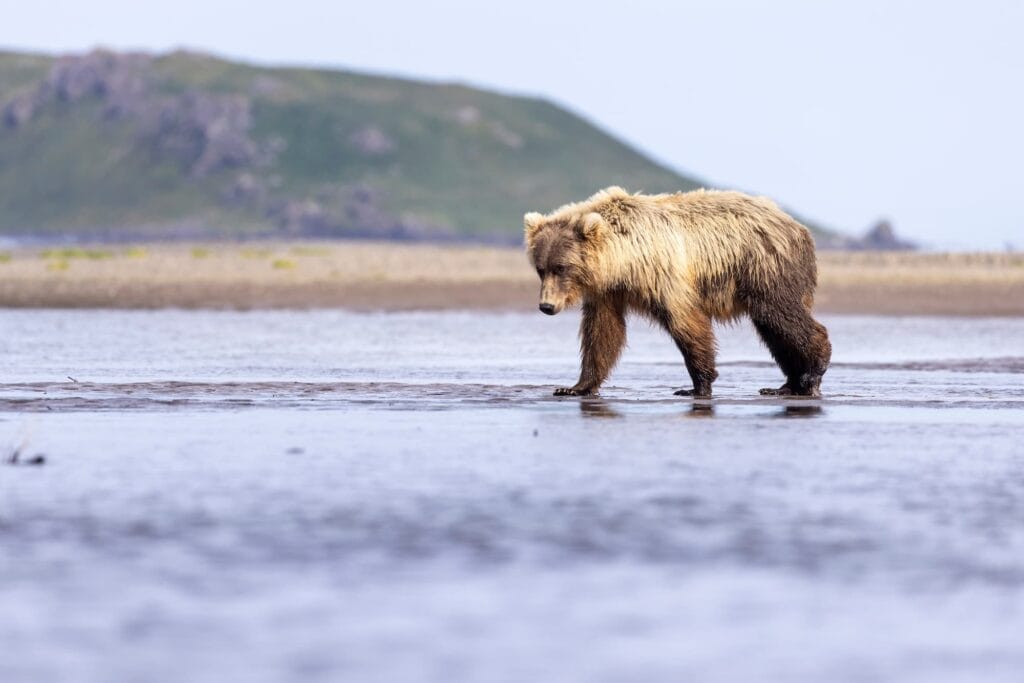 Shutterstock 2638705691 (1)